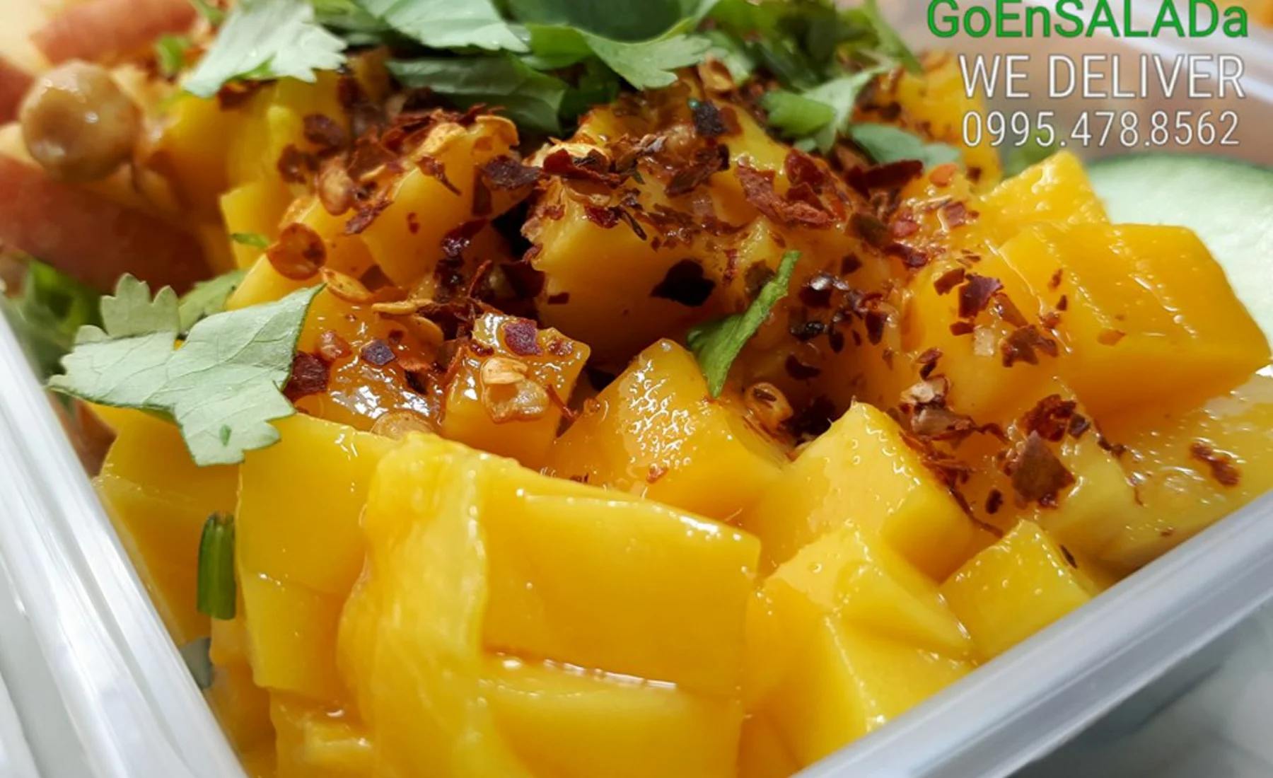 Fresh GoEnsalada salad bowl